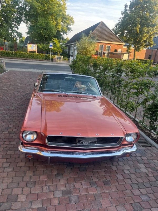 Mustang Convertible T-Code media 2