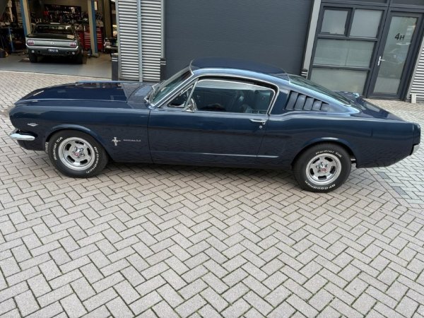 Ford Mustang Mustang Fastback C-Code