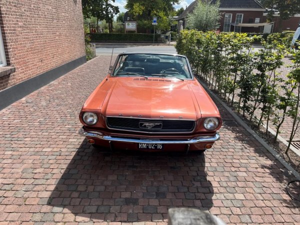 Mustang Convertible T-Code media 4