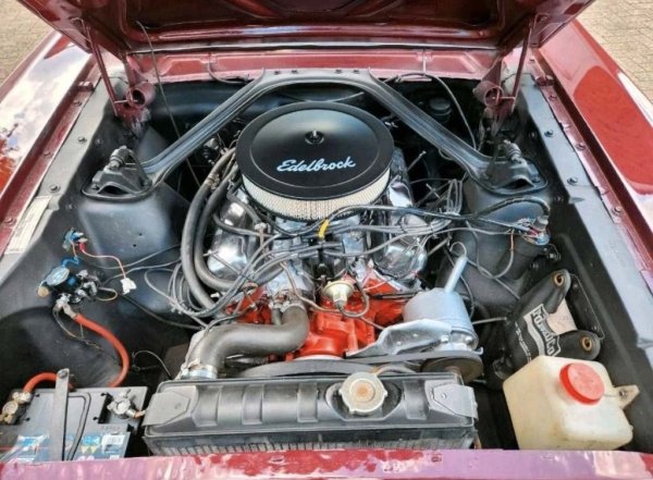 Mustang Coupe C-Code media 18