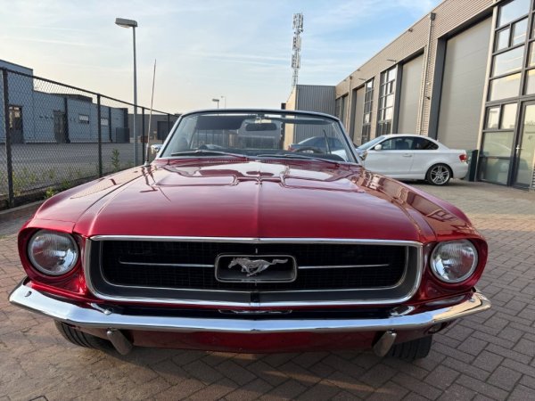 Mustang Convertible C-Code media 7