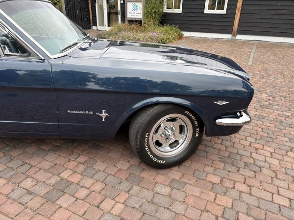 Mustang Fastback C-Code media 18