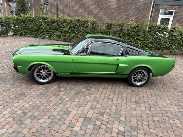 Ford Mustang Mustang Fastback V8 408