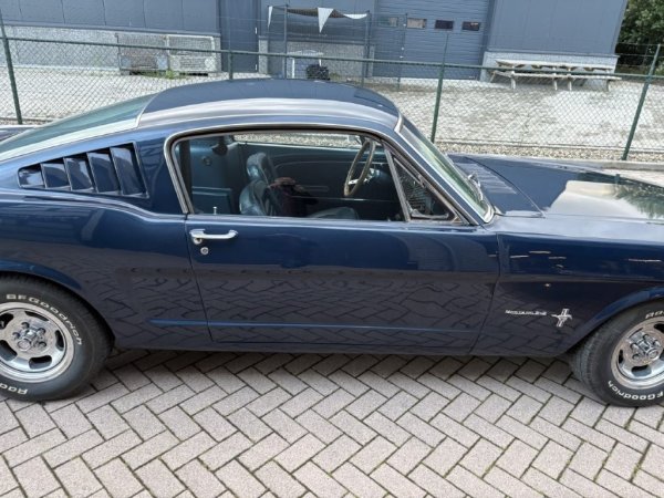 Mustang Fastback C-Code media 8