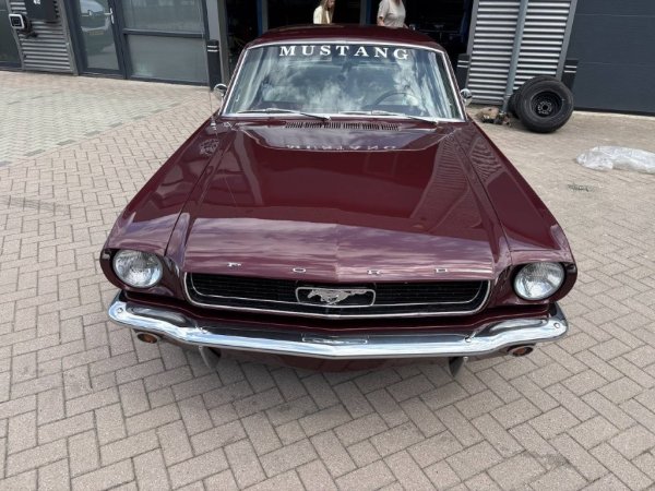 Mustang Coupe C-Code media 7