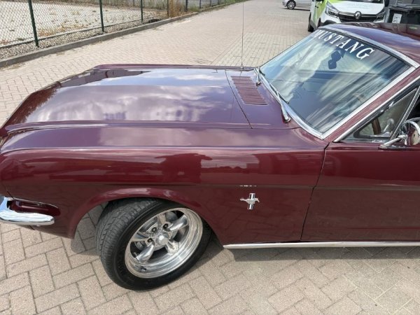 Mustang Coupe C-Code media 4