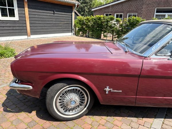 Mustang Convertible T-Code media 6