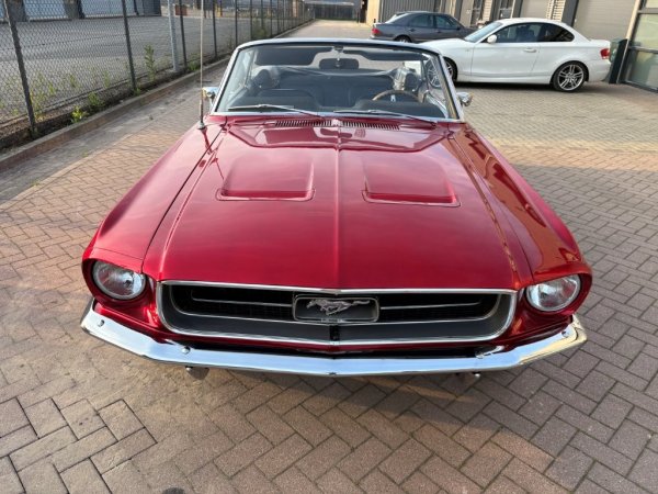 Mustang Convertible C-Code media 6