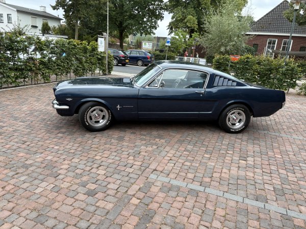 Ford Mustang Mustang Fastback C-Code