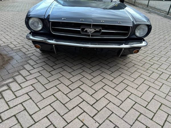 Mustang Fastback C-Code media 13