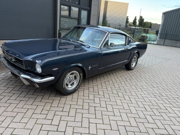 Mustang Fastback C-Code media 2