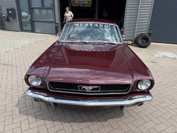 Mustang Coupe C-Code media 5