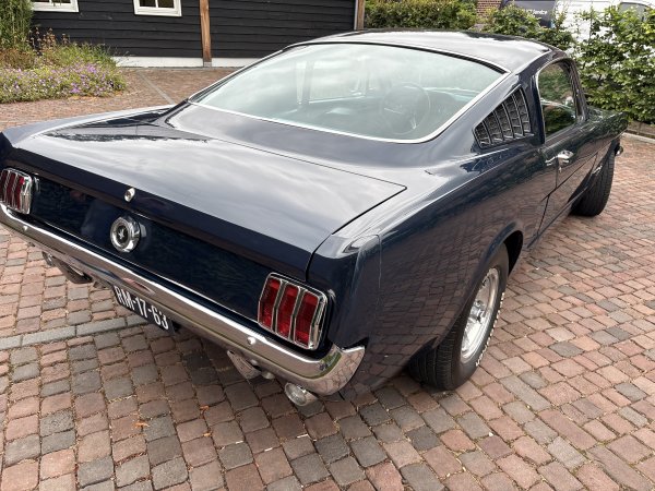 Mustang Fastback C-Code media 30