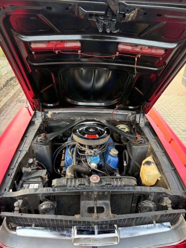 Mustang Convertible C-Code media 4