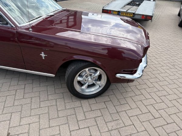 Mustang Coupe C-Code media 8