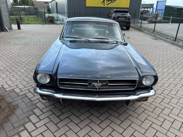 Mustang Fastback C-Code media 9