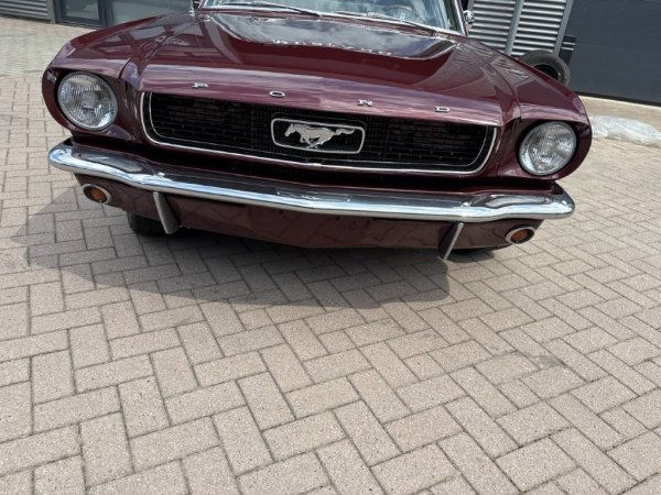 Mustang Coupe C-Code media 6