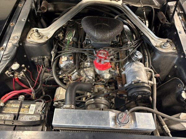 Mustang Fastback V8 408 media 19