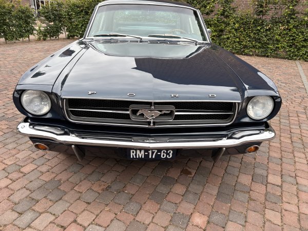 Mustang Fastback C-Code media 26