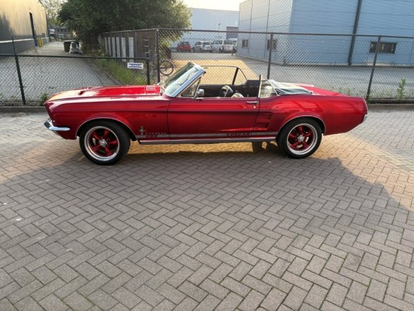Mustang Convertible C-Code media 17