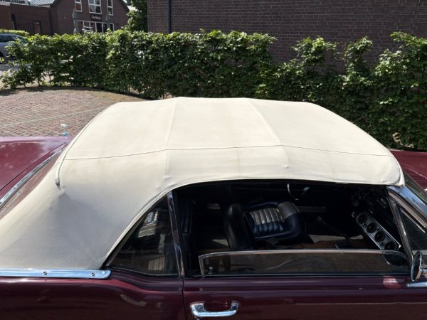 Mustang Convertible T-Code media 18
