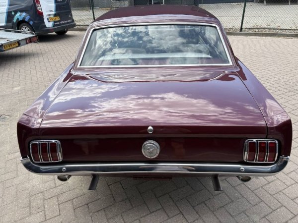 Mustang Coupe C-Code media 11