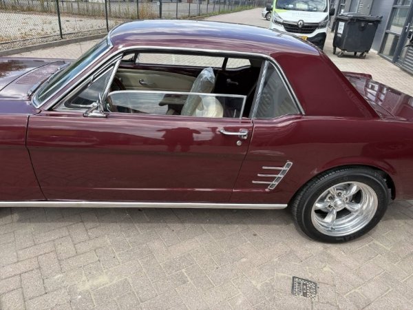 Mustang Coupe C-Code media 3
