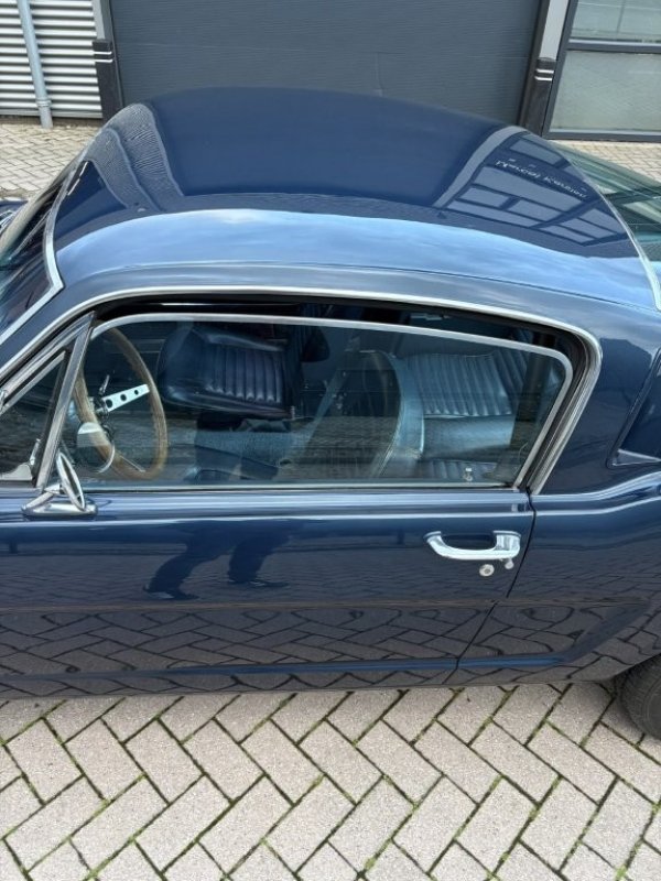 Mustang Fastback C-Code media 4
