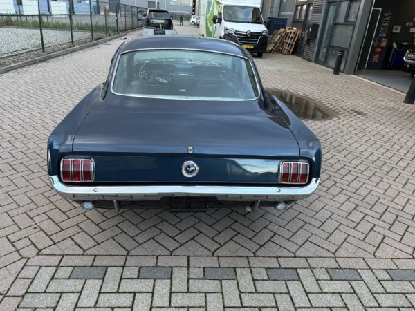 Mustang Fastback C-Code media 6